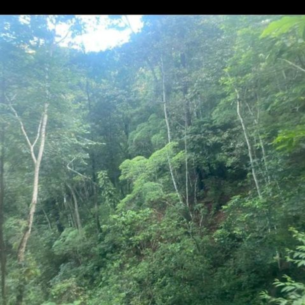 Meet your Posher, Faustino